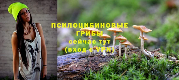 МДПВ Арсеньев