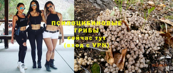 прущий лед Аркадак