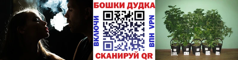 Канабис гибрид  Купить закладки  Калининск 